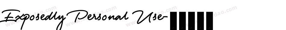 Exposedly Personal Use字体转换